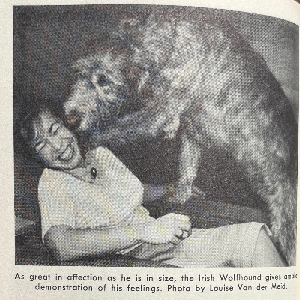 1964 How to Raise and Train an Irish Wolfhound Dog Trainers Manual